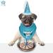 JT PET Dog Birthday Boy Party Pack: Bandana, Star Spangled Hat, Vegan Pie - Large Boy Dog - Buy Online on GoSupps.com