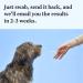 Wisdom Panel Essential Dog DNA Test Kit: Accurate Breed ID, Ancestry & Health | 25+ Conditions | Traits | Relatives - 1 Pack - Buy Online on GoSupps.com