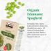 Explore Cuisine Organic Edamame Spaghetti - Gluten Free Vegan Pasta - High Protein - 8 oz - Buy Online on GoSupps.com