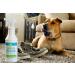 Chewfix Bitter Spray 8oz - No-Stain Pet Anti Chew Repellent for Cat & Dog Training - Stop Chewing with 365 Day Guarantee - Buy Online on GoSupps.com