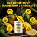Magnesium Carbonate 500mg Liquid Drops High Absorption Supplement with Vitamin C D3 K2 B6 B12 Zinc for Digestive System Health Nerve & Muscle Function Vegan Non-GMO Lemon Flavor 2 FL OZ - Buy Online on GoSupps.com