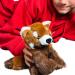 Deluxe Paws Plush Eco Toy - 100% Recycled Materials (Red Panda) - Buy Online on GoSupps.com