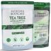 Foot Soak with Tea Tree Oil and Dead Sea Salt - Made In UK Helps Treat Nail Fungus and Athletes Foot Exfoliating Foot Soak for Hard Skin Foot Spa Bath Antifungal Feet Soak for Sore Tired Feet -500g