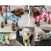 XPUDAC Small Dog Pajamas 4-Piece Set | Puppy Onesies for Christmas | Pet Sleeper Outfits | Cat and Doggie Jammies | Duck, Strawberry, Unicorn | Size Small 3.5-7 LBs - Buy Online on GoSupps.com