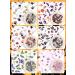 Kalolary 12 Boxes 3D Halloween Nail Art Sequin Stickers Holographic Halloween Witch Pumpkin Bat Sequins for Acrylic Nails DIY Manicure Sequin for Nail Art Decoration - Buy Online on GoSupps.com