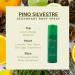 Pino Silvestre Deodorant Body Spray for Men - Long Lasting Sandalwood & Musk Fragrance - 6.7 Oz Cologne - International Shipping Available - Buy Online on GoSupps.com