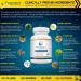 Foocusene: Caffeine-Free Mental Focus Supplement for Brain Enhancement & Energy - 60 Premium Capsules - Buy Online on GoSupps.com