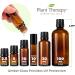 Plant Therapy Hocus Focus KidSafe Essential Oil Blend 10 mL - Pure Undiluted Therapeutic Grade for Kids' Focus - Buy Online on GoSupps.com