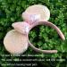 HuangQi Mouse Ears Headband with 3D Pink Bow - Double-sided Sequin Hair Band for Birthday Party or Amusement Park - Buy Online on GoSupps.com