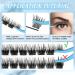 Lash Clusters 84 Pcs DIY Cluster Eyelash Extensions - D-Mix (8-16mm) Sprout - Buy Online on GoSupps.com