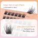 Buy Lash Clusters - Volume DIY Eyelash Extensions Wispy Individual False Lashes Soft & Reusable 10-12-14mm - Buy Online on GoSupps.com