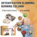 60-Piece Moxibustion Sets for Energy Gathering & Detoxification | SLI_Mming Moxa Sticks - International Shipping Available - Buy Online on GoSupps.com
