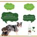 Buy Dog Shampoo Nowater | Bio & Gentle Care for Water-Shy Dogs | No Rinse No Soap 250ml - Buy Online on GoSupps.com