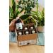 Organic Cold-Pressed Black Currant Juice - Vegan No Sugar No Preservatives - Berries Polska 250ml - Buy Online on GoSupps.com