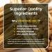 Vitamin K2 MK-7 - Optimal Strength 100mcg - from Natto - Sourced from Plant-Based Natural Ingredients - 120 Easy to Swallow Vegan Capsules (not Tablets) - Menaquinone-7 - Made in UK by VitaBright - Buy Online on GoSupps.com