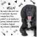 BUGALUGS Dog Shampoo with a Distinctive One in a million Fragrance - Natural dog grooming shampoo products for smelly dogs best puppy professional groom shampoo & conditioner (1x500ml) - Buy Online on GoSupps.com