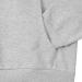 Shop Borussia Dortmund BVB Hoodie Essentials | Grey Basic Pullover S-3XL - International Shipping Available - Buy Online on GoSupps.com