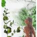 Dried Eucalyptus Branches - Real Hanging Stems for Home, Office, and Hotel D cor | Indoor Eucalyptus Plant for DIY Projects and Shower Aromatherapy - Buy Online on GoSupps.com
