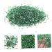 HAPINARY 1 Glass Chip Manicure Fillers Nail Art Charms Manicure Charms DIY Nail Art Crushed Glass DIY Glass Fillers Nail Crushed Glass Shiny Nail Stickers Nail Art Stone DIY Epoxy Filling 0.5X0.3cm Green - Buy Online on GoSupps.com