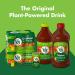 V8 Spicy Hot 100 Vegetable Juice 12oz Bottle - Tomato Vegetable Blend - Buy Online on GoSupps.com