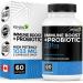RENEW ACTIVES Antioxidant Elderberry Probiotics Zinc Vitamin C & Organic Turmeric 700MG per 2 Capsules For Immune Function Collagen Formation & Overall Wellness Made in Canada - 60 Capsules