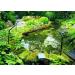 Velda 128020 Low-Voltage Pond Protection Fence 1.1W Heron & Cat Deterrent Colorless 1 Piece - Buy Online on GoSupps.com