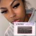 Shop Winifred F92 Volume Fluffy Cluster Lashes - 18mm Thick Mink Eyelash Extensions for Full Volume DIY Eye Looks | International Shipping Available - Buy Online on GoSupps.com