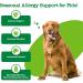 Zesty Paws Hemp Aller-Immune NutraStix for Dogs - Peppermint Flavor, 12 oz - Buy Online on GoSupps.com
