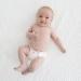 Amazing Baby SmartNappy Disposable Inserts 28 Count Size 1 5-10 lbs | Extra Absorbent Hybrid Diaper Cover | No Plastic Liner | Trial Pack - Buy Online on GoSupps.com