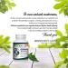 Prescript-Assist Light Probiotic & Prebiotic for Kids & Adults | 28 Strains Soil Microflora - Buy Online on GoSupps.com