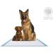 American Kennel Club Puppy Training Pads - Regular & Extra Large Sizes - Buy Online on GoSupps.com