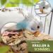 Vogelgaleria Cork Seating Board for Birds - Wellensing 20x10 cm | Ideal Cage Accessory & Toy for Nymphic & Parrots - Buy Online on GoSupps.com