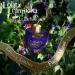 Lolita Lempicka Le Parfum Eau De Parfum Spray for Women Limited Edition Midnight Purple Tinted Gold Accented Bottle - Notes of Licorice Violet & Anise - 3.4 Oz - Buy Online on GoSupps.com