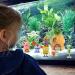 Atuvuta 9 PCs Spongebob Aquarium Deco | Underwater Aquarium Decoration | Aqua Ornaments & Landscape for Fischteich - Buy Online on GoSupps.com