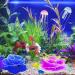 Buy Cayway Aquarium Decoration: 2 Shining Coral 2 Artificial Jellyfish & 10 Bright Mussels - Perfect for Aquariums | International Shipping Available - Buy Online on GoSupps.com