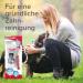 BEAPHAR Dental Care Set for Puppies - Liver Flavor Toothbrush & Toothpaste - Ideal Puppy Oral Hygiene (1 Piece + 50g) - Buy Online on GoSupps.com