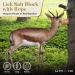 UMAID 6 lbs Himalayan Animal Lick Salt On Rope for Horses, Deer, Livestock - 2 Count - Buy Online on GoSupps.com