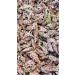 Wild Mountain Sumac I 80g I Ground & Seedless I Single Origin, Handpicked & Sun-Dried - Buy Online on GoSupps.com