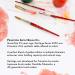 Princeton Heritage 4050 Size 12 Round Watercolor Brush - Synthetic Sable - Buy Online on GoSupps.com
