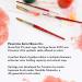 Princeton Heritage 4050 Synthetic Sable Angle Watercolor Brush - 1/2 Inch - Buy Online on GoSupps.com