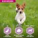 Eukanuba Puppy & Junior Adult Dry Food For Small and Medium Breed Lamb&Rice 2.5kg - Buy Online on GoSupps.com