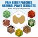 Natural Herbal Knee Pain Relief Patches - Long Lasting & Stay Warm (Pack of 24) - Buy Online on GoSupps.com