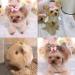 Hayaww 8 PCS Dog & Cat Hair Accessories - Stylish Bowknot Hair Ties & Grinding Gear for Pets - Buy Online on GoSupps.com