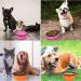 Collaborative Dog Bowl & Collapsible Water Bowl - Portable 350ml Pet Food Bowl for Dogs & Cats (Pink + Orange) with Carabiner - Buy Online on GoSupps.com