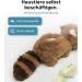 Pettec Interactive Cat Toys Electric Movable Raccoon with Catnip | Automatic Self-Play for Cats | Best Interactive Cat Toy - Buy Online on GoSupps.com