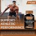 WELLNESS LABSRX Mushroom Supplement Capsules 10:1 Extract Mushroom Complex Capsules 1000mg Lions Mane Supplement with Turkey Tail Cordyceps Reishi - 120 Count 120 Count (Pack of 1) - Buy Online on GoSupps.com