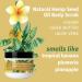 Hempz Mini Sugar Body Scrub - Original Scent Travel Size 2 oz | Buy Internationally - Shop Now - Buy Online on GoSupps.com