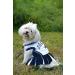 Dallas Cowboys NFL Cheerleader Dog Dress - Size Small - Buy Online on GoSupps.com