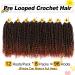 10 Inch Pre-Looped Passion Twist Hair Extensions for Black Women - 8 Packs of Pre-Twisted Curly Crochet Hair - Short Crochet Passion Twist Hairstyle - Color T350 - Buy Online on GoSupps.com