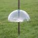 Natures Market BFBAFFLE Plastic Squirrel Baffle Transparent 40 x 19 x 40 cm - Buy Online on GoSupps.com